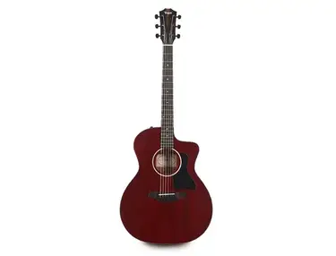 Taylor 224ce DLX LTD