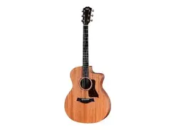 Taylor 24ce main image