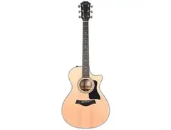 Taylor 312ce with ES2 Electronics main image
