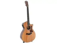 Taylor 312ce with Fishman Electronics main image