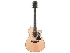 Taylor 312ce with V-Class Bracing main image