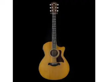 Taylor 314ce with Fishman Electronics