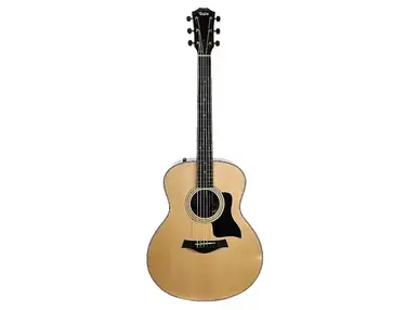 Taylor 316e