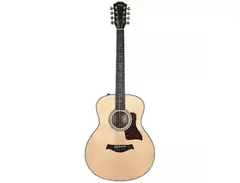 Taylor 316e Baritone-8 LTD main image