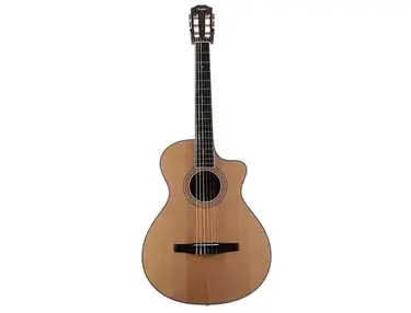 Taylor 412ce-NR