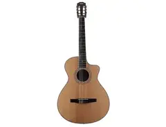 Taylor 412ce-NR main image