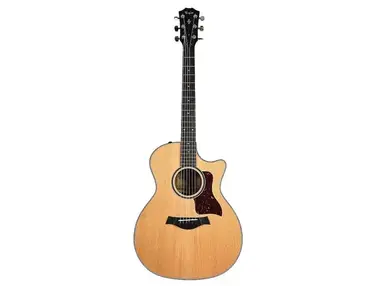 Taylor 414ce LTD with V-Class Bracing
