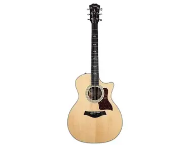 Taylor 414ce-R with V-Class Bracing