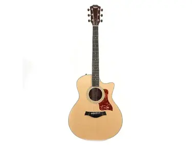 Taylor 416ce with ES2 Electronics