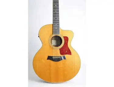 Taylor 455ce with Fishman Electronics