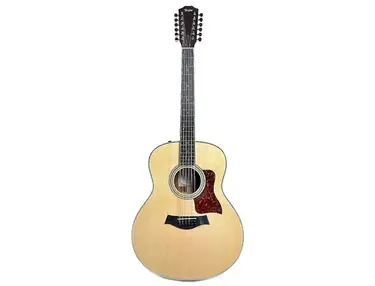 Taylor 458e