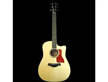 Taylor 510ce with ES2 Electronics
