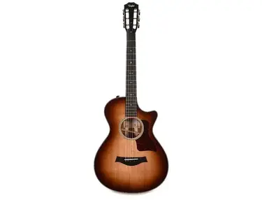 Taylor 512ce 12-Fret LTD with V-Class Bracing