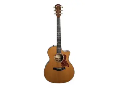 Taylor 514ce with ES1 Electronics
