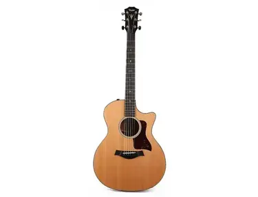 Taylor 514ce with V-Class Bracing