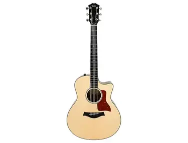 Taylor 516ce with ES2 Electronics