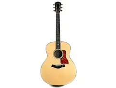 Taylor 518e with ES1 Electronics main image