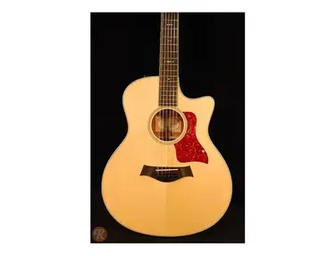 Taylor 556ce with ES1 Electronics