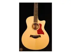 Taylor 556ce with ES1 Electronics main image