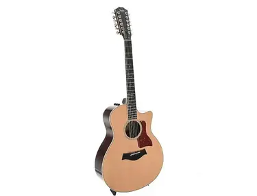 Taylor 556ce with ES2 Electronics