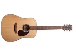 Martin DM - What To Know & Where To Buy | Equipboard
