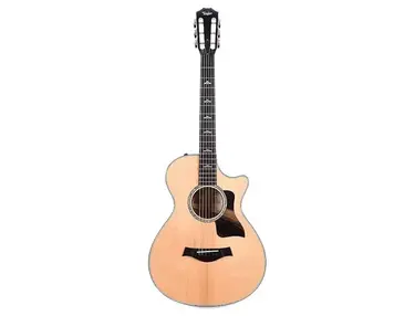 Taylor 612ce with V-Class Bracing