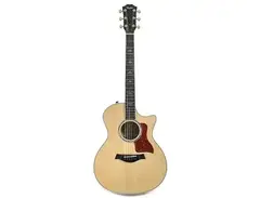 Taylor 614ce with Fishman Electronics main image