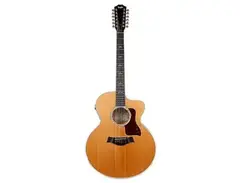 Taylor 655ce with Fishman Electronics main image