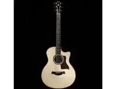 Taylor 716ce Baritone LTD main image