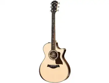 Taylor 812ce with ES2 Electronics