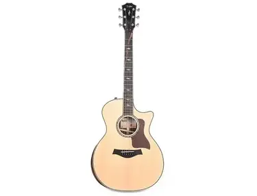 Taylor 814ce DLX with V-Class Bracing