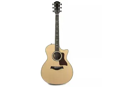 Taylor 814ce LTD Sitka Spruce / Brazilian Rosewood