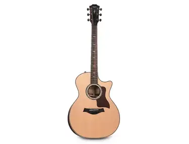 Taylor 814ce with V-Class Bracing