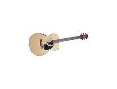 Takamine EG-230 main image