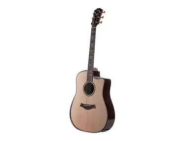 Taylor 910ce with ES2 Electronics