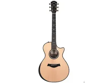 Taylor 912ce with ES2 Electronics