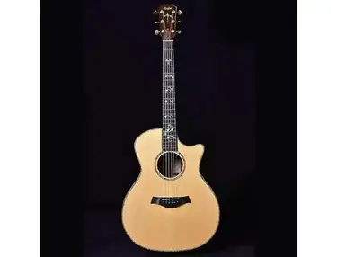 Taylor 914c