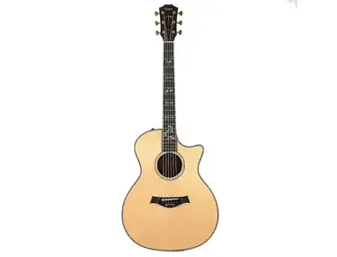 Taylor 914ce with ES2 Electronics