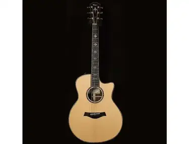 Taylor 916ce LTD Adirondack