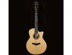 Taylor 916ce LTD Adirondack main image