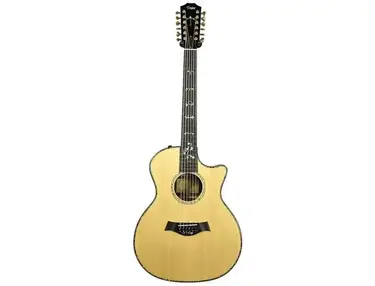 Taylor 954ce with ES1 Electronics