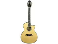 Taylor 954ce with ES1 Electronics main image