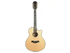 Taylor 956ce with ES2 Electronics main image
