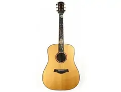 Taylor Cujo-10 Dreadnought main image