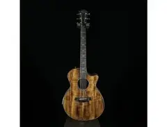 Taylor Custom K24ce AA Koa with V-Class Bracing main image