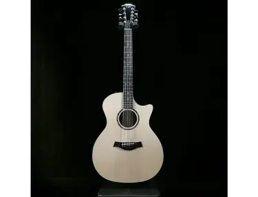 Taylor Custom Shop 9-String Grand Auditorium