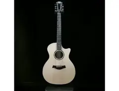 Taylor Custom Shop 9-String Grand Auditorium main image