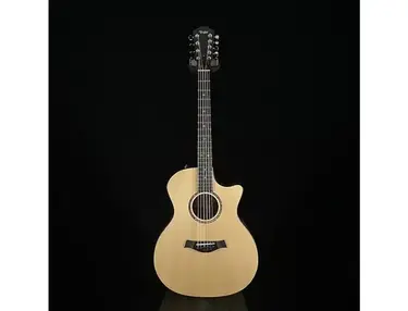 Taylor Custom Shop Music Villa Exclusive Koa 9-String