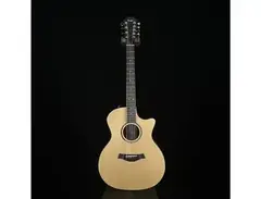 Taylor Custom Shop Music Villa Exclusive Koa 9-String main image