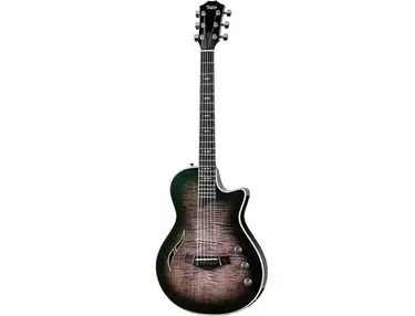 Taylor Custom Shop T5z